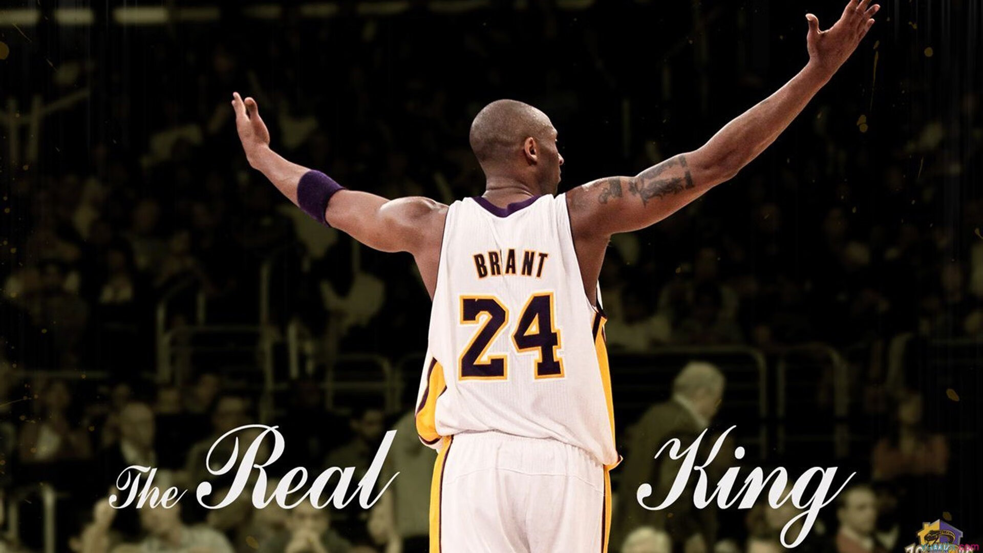 “华金·托比利亚的防守统治力与领导气质,推动阿根廷美洲狮队走向未来”